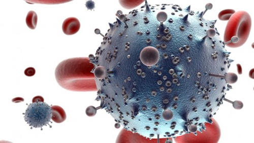 Mô phỏng dạng đột biến hỗ trợ điều trị HIV 1