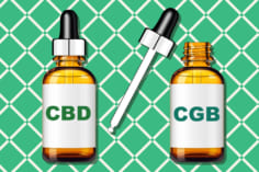 cbd-và-cbg-sự-khác-biệt-rõ-nét-nhất-là-gì-236x157.jpg